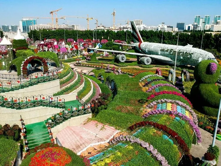 photo-7